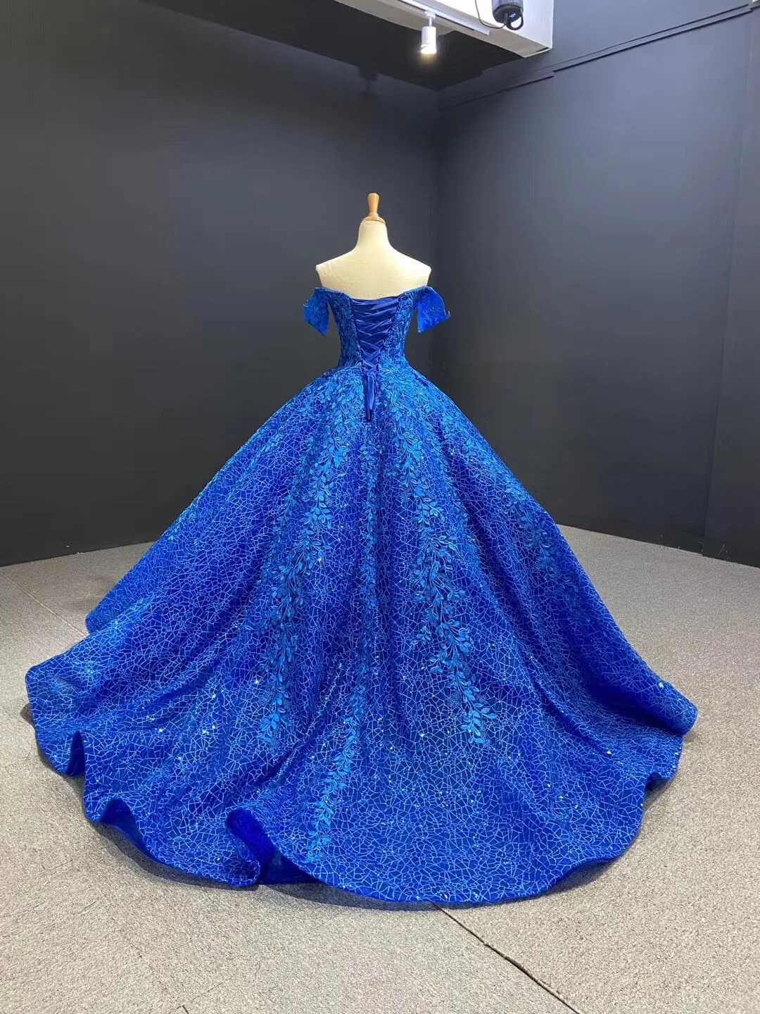 Ball Gown Off-the-shoulder Applique Long Prom Dress Unique Evening Gowns MLH0449